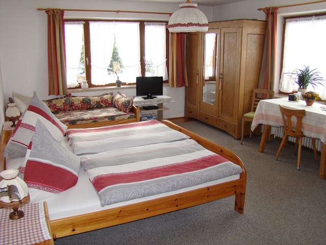 Large guest room (25 m²) on the Samerberg