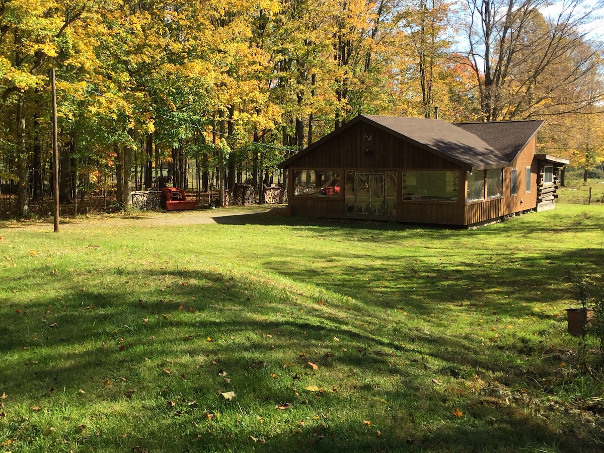 A wooden cabin sits amid lush greenery, surrounded by colorful autumn leaves. The structure features large windows that allow natural light to fill the interior, while a cozy outdoor seating area is visible nearby. The peaceful setting is complemented by a gravel path leading to the entrance.