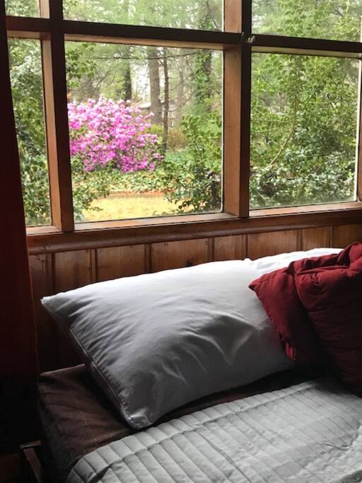 Cabin in the woods