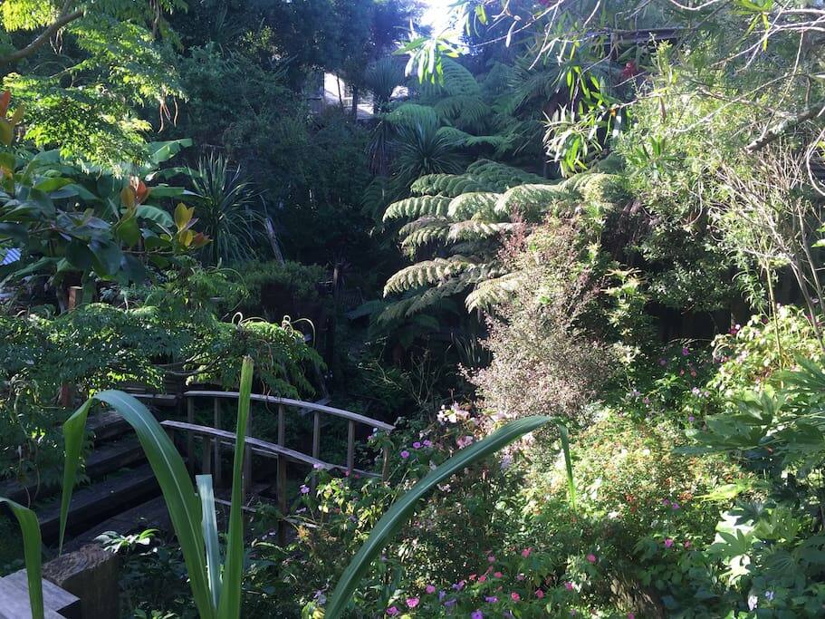 Outside back area