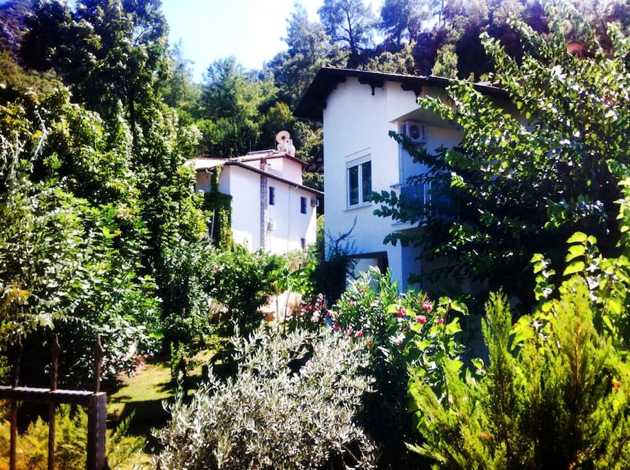 Identical attached Garden Villas 'Modern and Retro', both 3 bedrooms for up to 6-7 sleeps