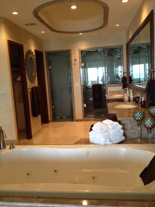 Master bath jacuzzi.