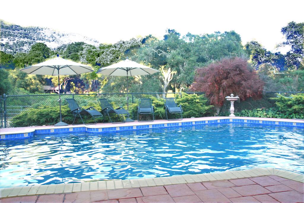 Swimming Pool - view 1 (facing east hills)