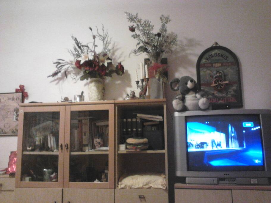 tv