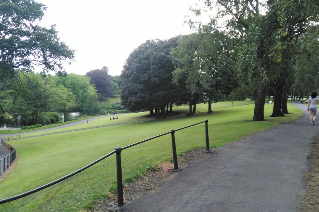 1 minute walk to the beautiful Phoenix Park!