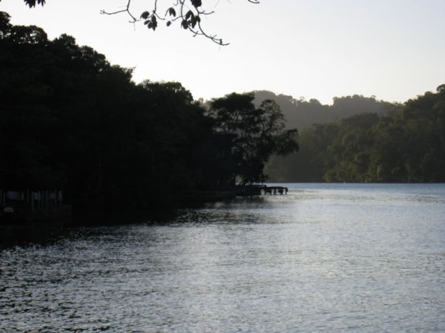 View from the house