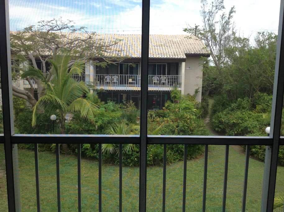 Garden View from condo