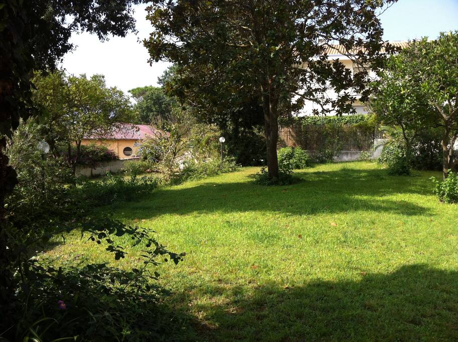 Giardino