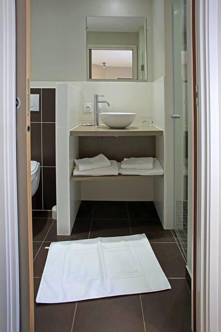 salle de bain avec douche et WC