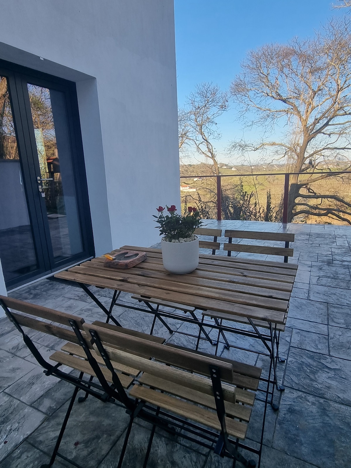 An outdoor terrace features a wooden dining table accompanied by four folding chairs. A potted plant sits at the center of the table. Large glass doors lead into the interior, with a view of trees and an open landscape in the background.