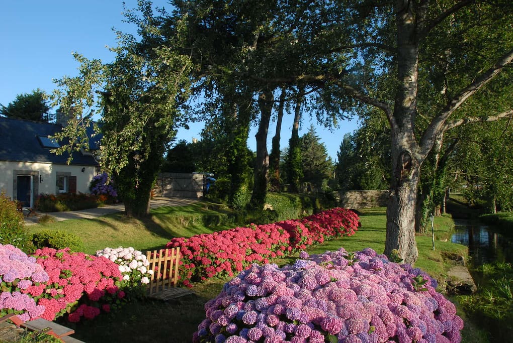 vue du gîte sur le jardin...