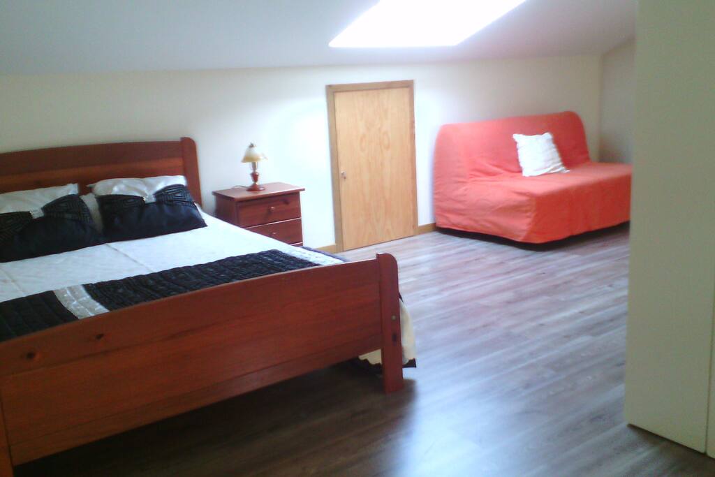 Bedroom and living room with sofa-bed