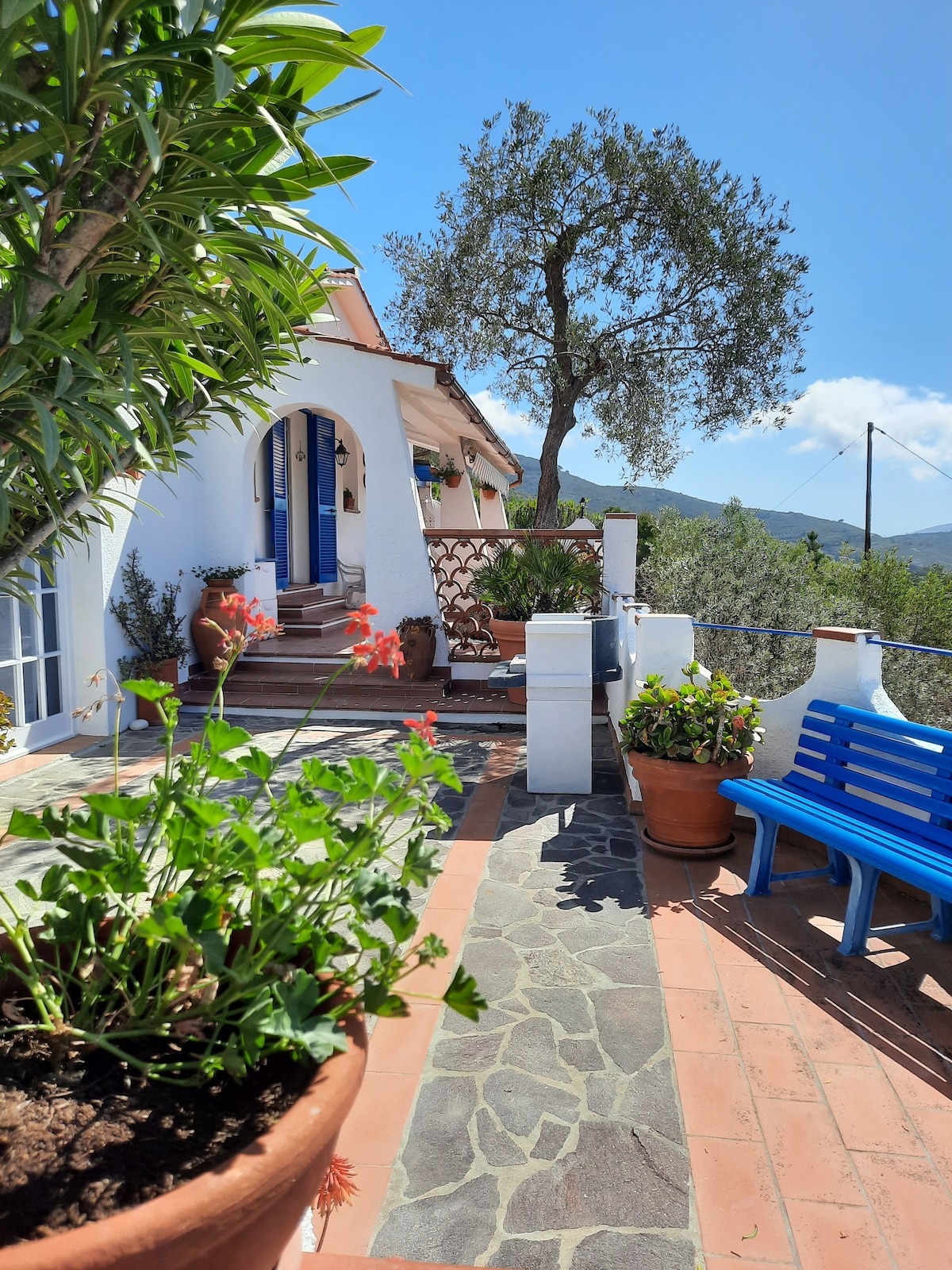 A charming entrance pathway leads to the villa, framed by potted plants and a striking blue bench. White walls contrast with terracotta tiles and stone steps, creating a welcoming atmosphere. A sunlit view of the surrounding olive trees and hills is visible in the background.