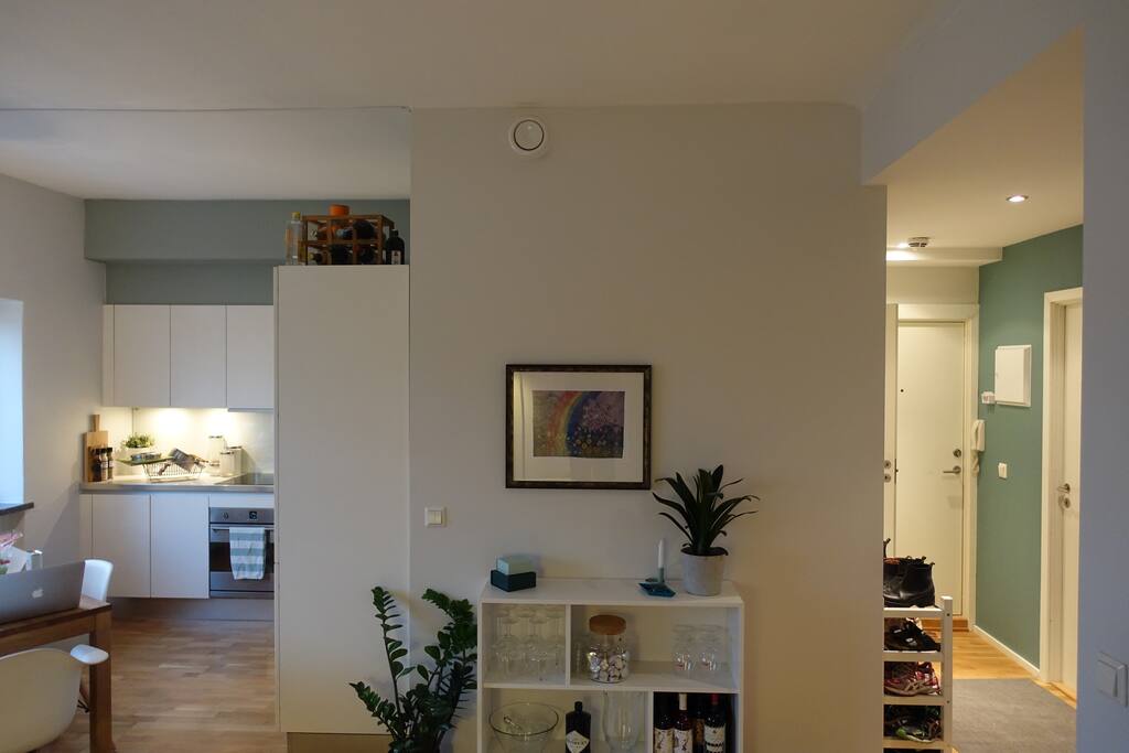 Living area with kitchen/hallway