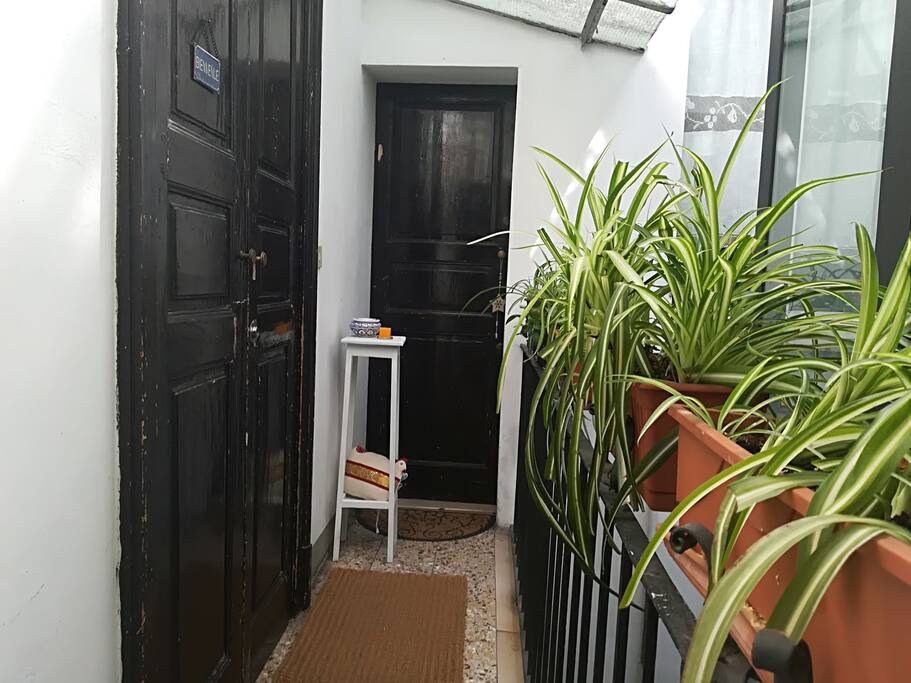 Ingresso