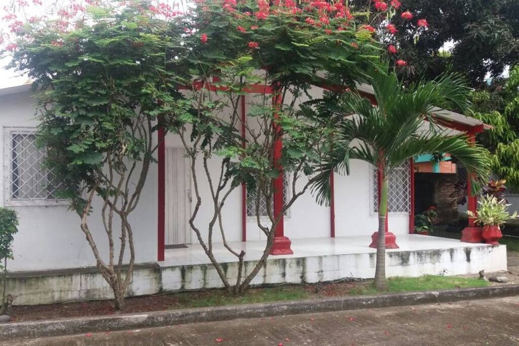 Vista Frontal