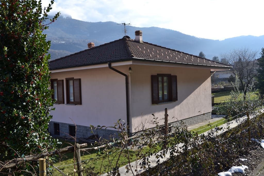 Back view