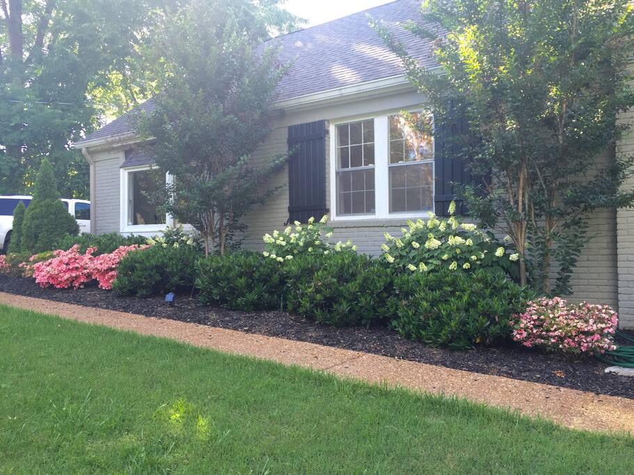 Front yard