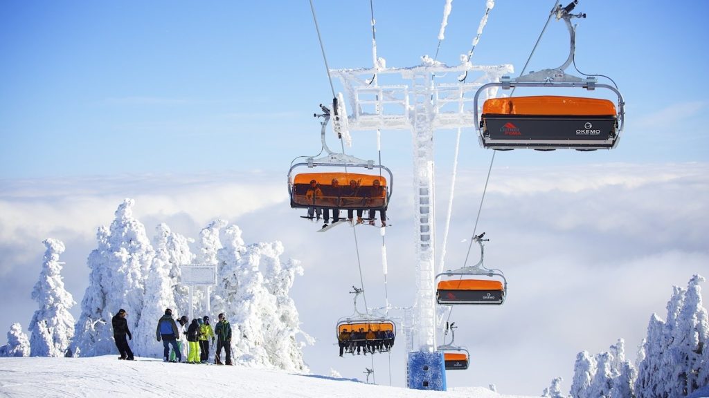 Ski Chalet with Hot Tub on Okemo Mountain - Houses for Rent in