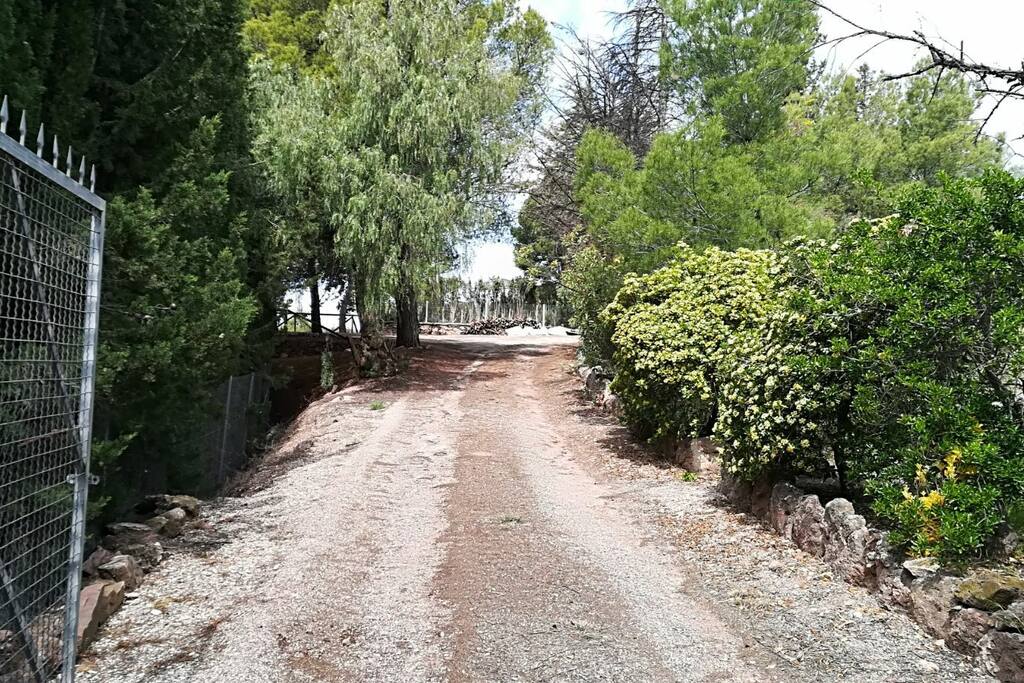 Entrada