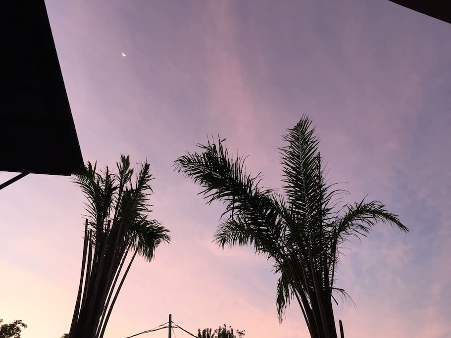 Sky view