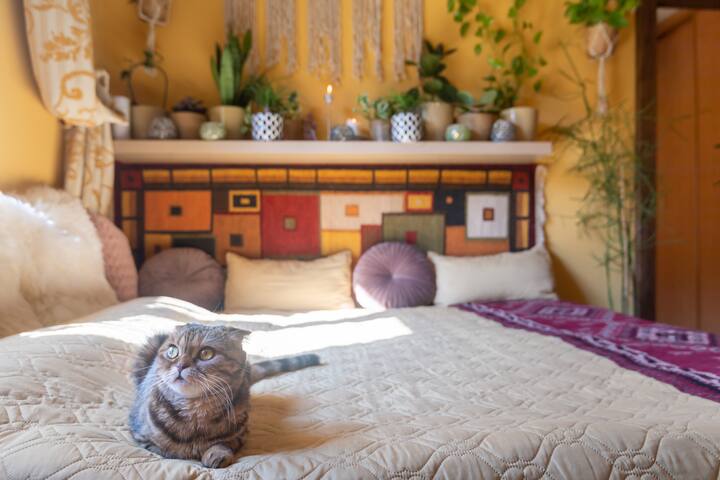 Lovely nice apartment in Prague city centre gallery image 4