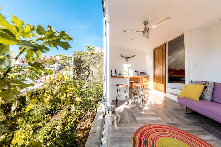 Mexico Winter Rentals