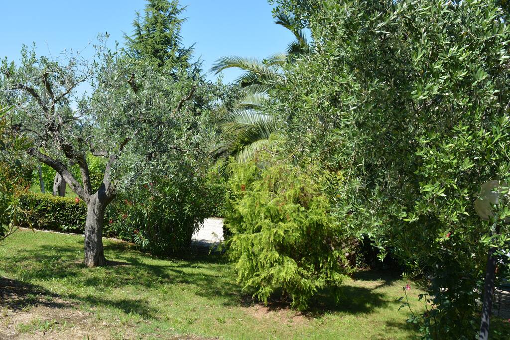 Giardino - Casa del Sole