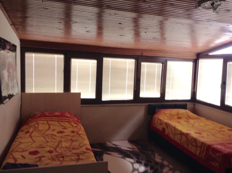 The room will stand here .. In the tasting room tree House .