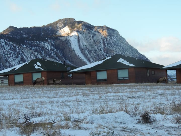 8 Best Cabin Rentals In Gardiner, Montana Updated 2024 Trip101