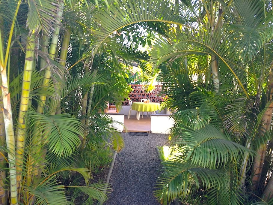 L'allée vers l'appartement