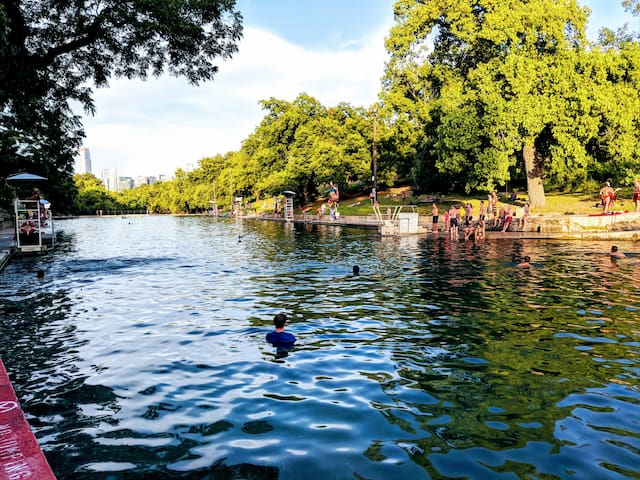 Glass Treehouse- 5 stories high w/VIEWS-POOL-LAKE gallery image 2