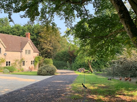 🌳 Forest Lodge🌲 Family Friendly Woodland Cottage 🐔