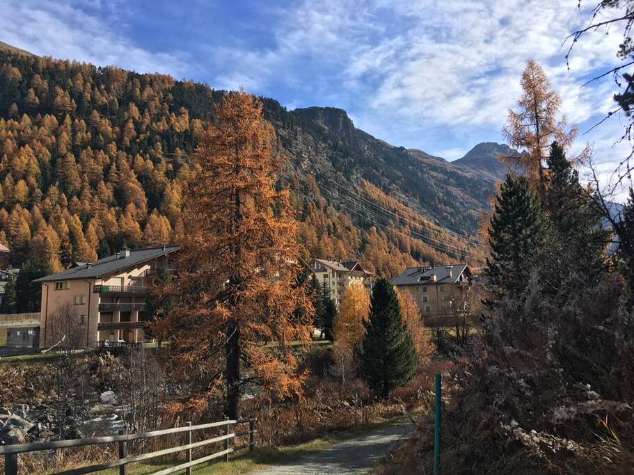 Umgebung. Biketrail & Loipe direkt vor dem Haus.