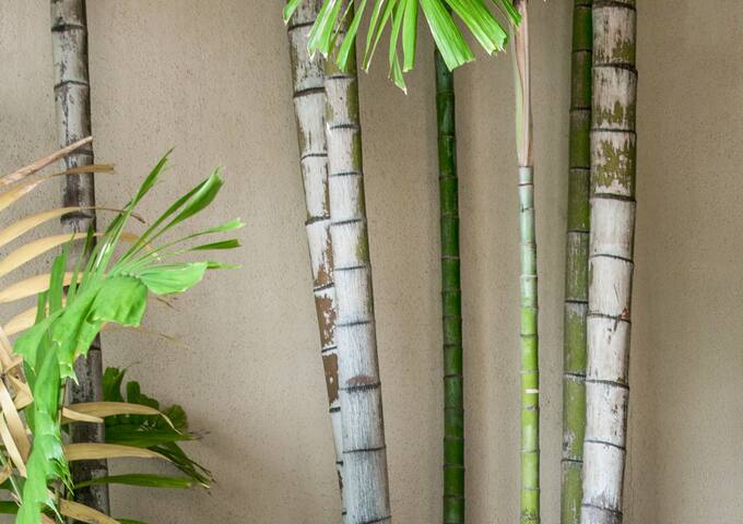 Hale Makena Maui gallery image 2