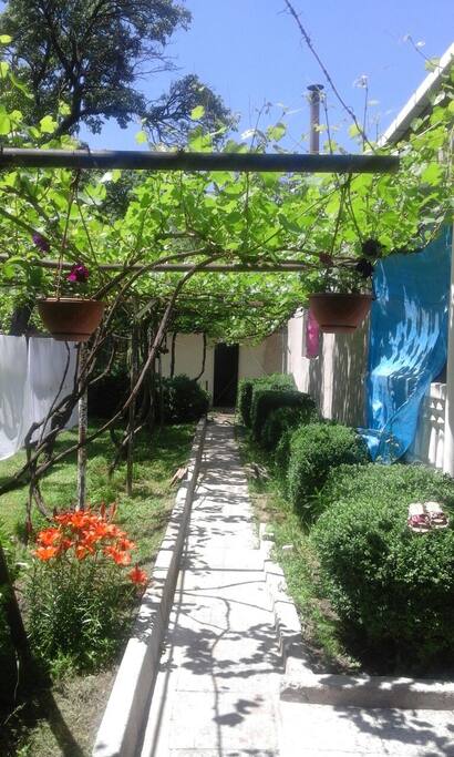 Garden and entry