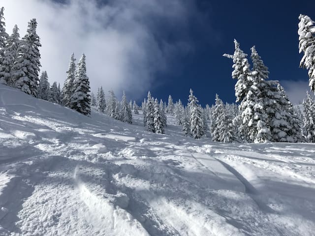 Mount Hood Retreat