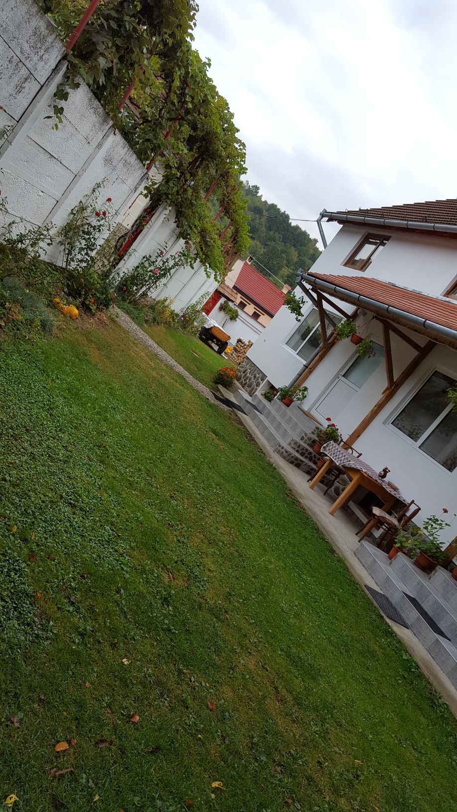A spacious outdoor area is surrounded by a well-maintained garden featuring lush grass and ornamental plants. The house's inviting façade includes a dining table and stone steps leading to the entrance. A vine-covered trellis adds shade and charm to the setting.