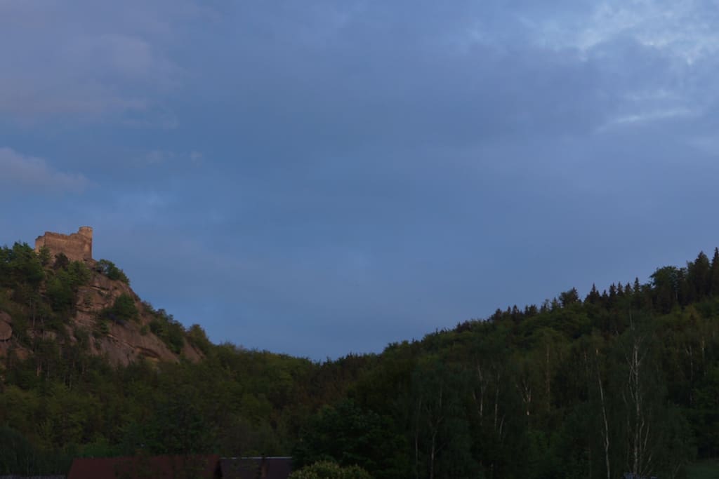 Widok z ogrodu