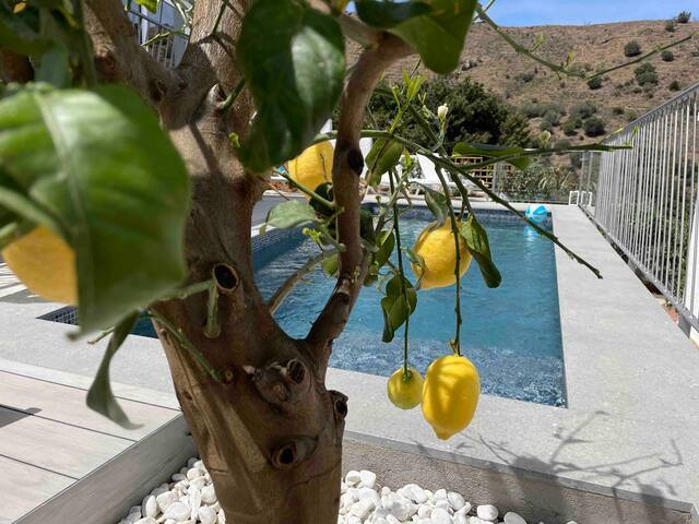 Maison Duplex (5ch), piscine, vue mer 180°, plage gallery image 5