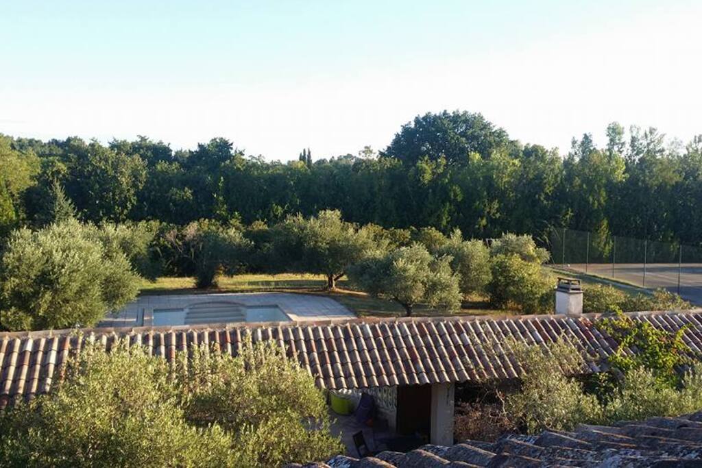 Vue de la propriété (piscine/terrain de tennis)