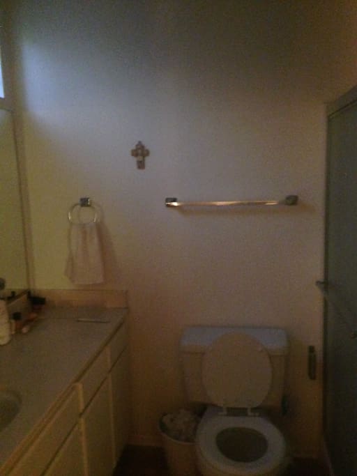 private bathroom huge sink