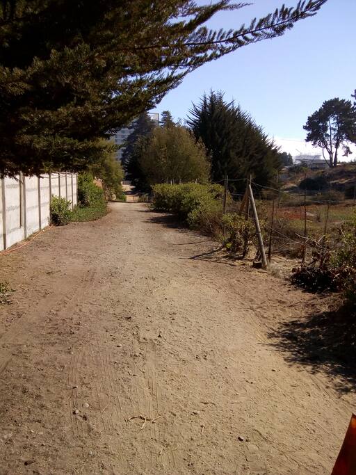 Es el camino hacia calle Los Queltehues.