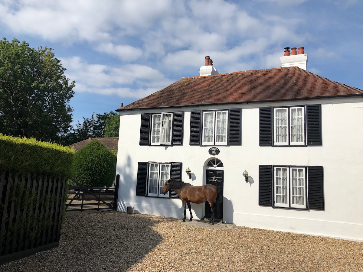 The exterior of a two-story white cottage is shown, featuring black shutters and multiple windows. A horse is positioned near the entrance, enhancing the rural charm. A gravel pathway leads to the house, framed by green hedges and trees in the background.