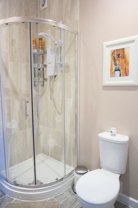 Ensuite bathroom with shower
