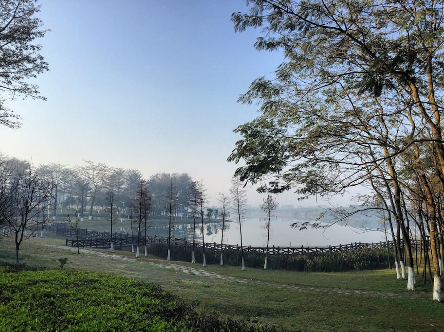 晨曦中的湖景