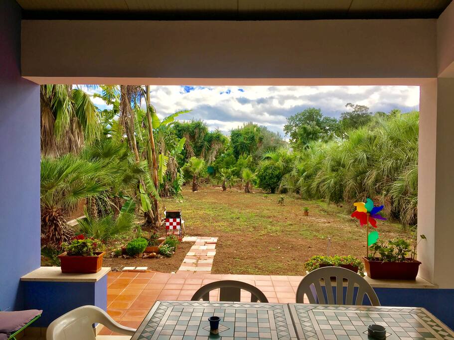 View to the palm garden