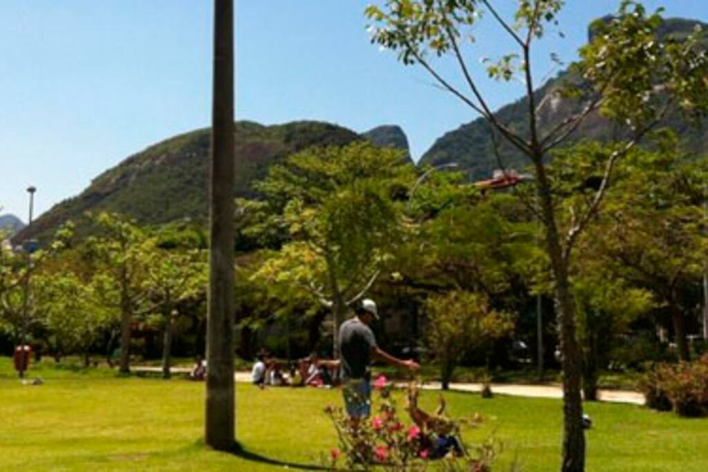 Park in front of the building. This park is called Praça do Pomar and is open to public.
