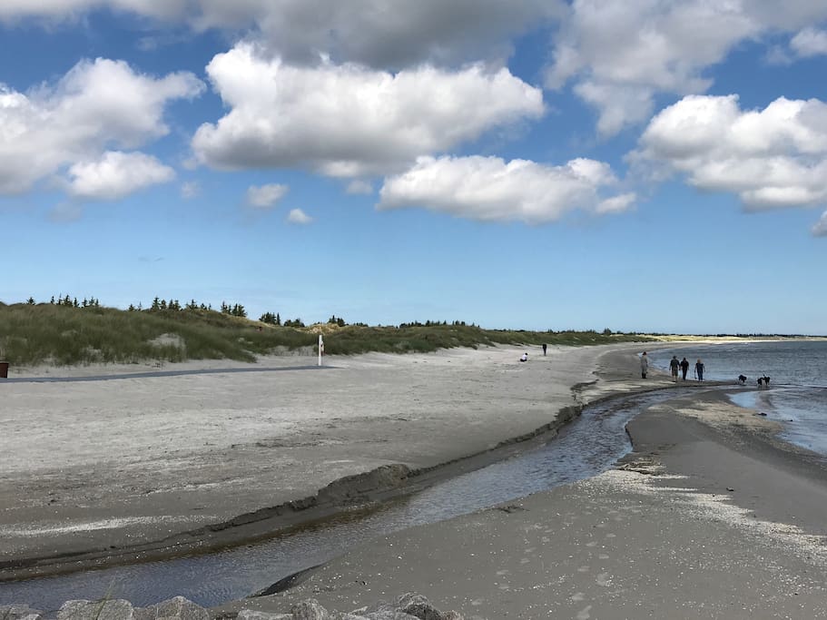 Stranden ved Ålbæk