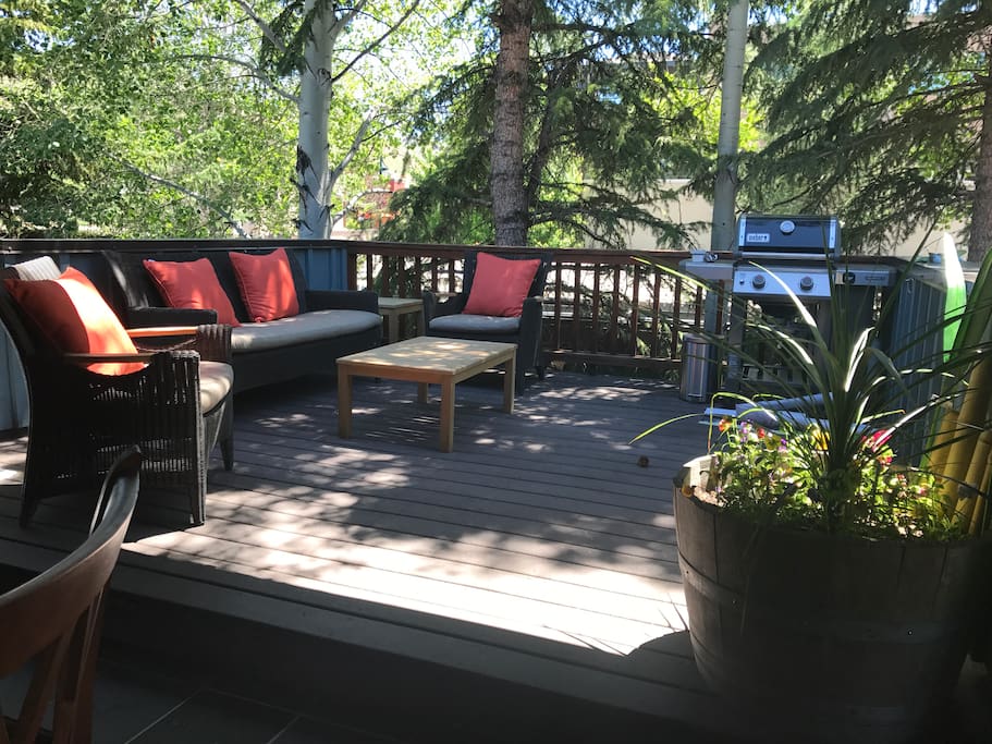 private back deck with BBQ